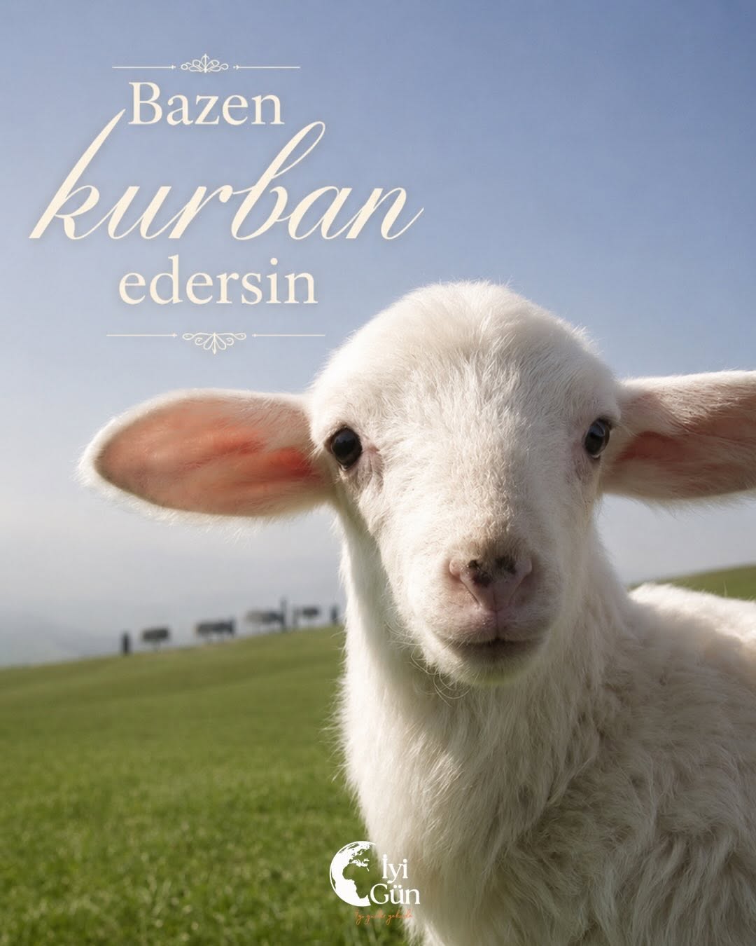 Bazen insan;
zamanını, enerjisini, hayallerini…
Bazen de yıllardır doğru sandığı şeyleri bırakmak zorunda kalır.

Ama her vazgeçiş bir kaybediş değildir.
Bazı bırakışlar, insanın kendine yeniden yer açabilmesidir.

Bu bayramın; kalbinize huzur, hayatınıza ferahlık getirmesini diliyoruz.
Kurban Bayramınız mübarek olsun 🤍
.
.
.
.
.
.
.
#kurbanbayramı #keșfetteyiz