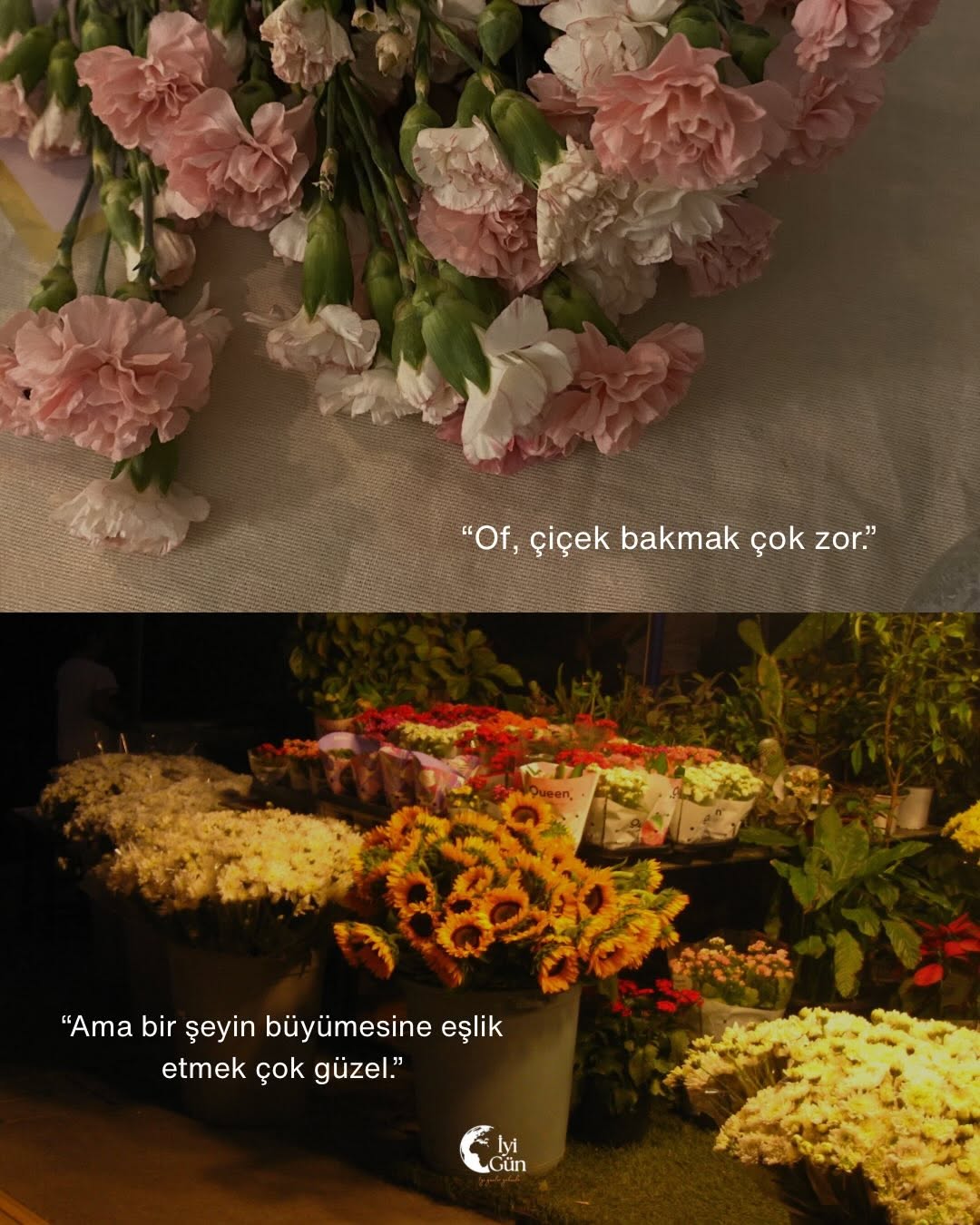 Hayat çoğu zaman aynı hayat.

Değişen şey bazen yaşadıklarımızdan çok, onlara baktığımız yer oluyor.

Zihnimiz bizi korumaya çalışırken çoğu zaman önce riski, eksiği ve aksayanı fark ediyor.

Bu yüzden bazen çiçeğin kendisini değil bakımını,
yağmurun sesini değil ıslanmayı,
manzarayı değil trafiği görüyoruz.

Ve fark etmeden hayatın büyük bir kısmını kaçırabiliyoruz.

Siz bugün en çok neyi görüyorsunuz? ✨